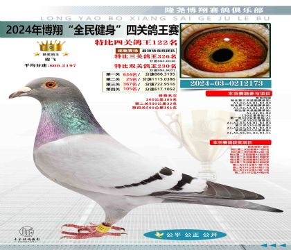 特比四關(guān)鴿王122名