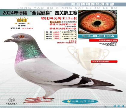 特比四關(guān)鴿王124名