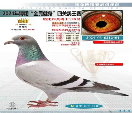 特比四關(guān)鴿王125名