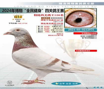 特比四關(guān)鴿王126名