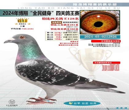 特比四關(guān)鴿王128名