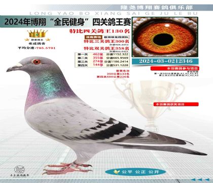 特比四關(guān)鴿王130名