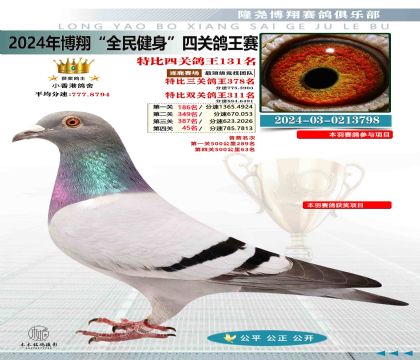 特比四關(guān)鴿王131名