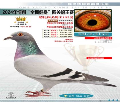 特比四關(guān)鴿王132名
