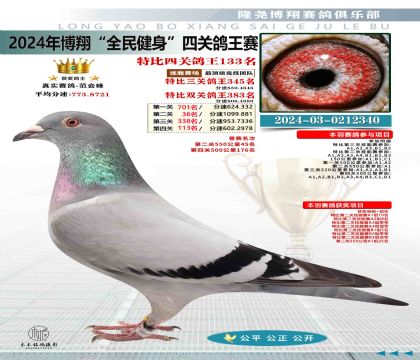 特比四關(guān)鴿王133名