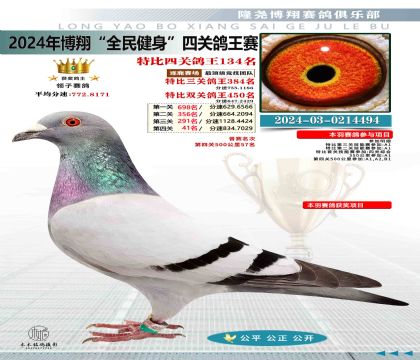 特比四關(guān)鴿王134名