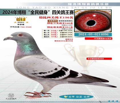特比四關(guān)鴿王136名