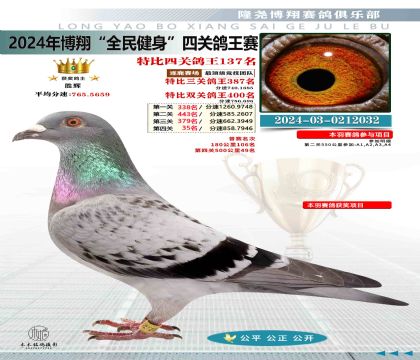 特比四關(guān)鴿王137名