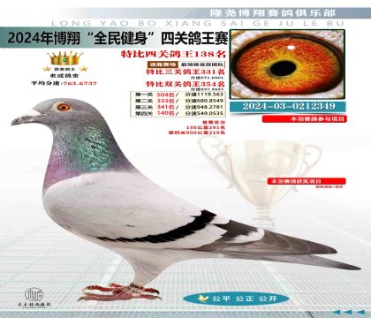 特比四關(guān)鴿王138名
