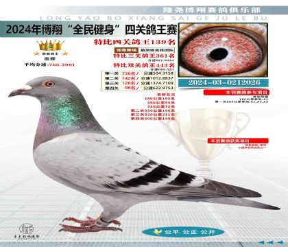 特比四關(guān)鴿王139名