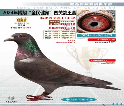 特比四關(guān)鴿王140名