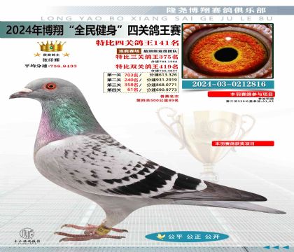 特比四關(guān)鴿王141名