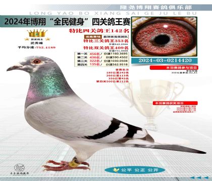 特比四關(guān)鴿王142名