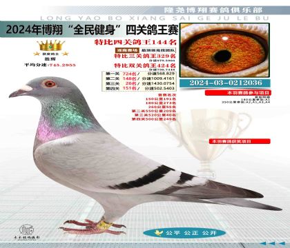 特比四關(guān)鴿王144名