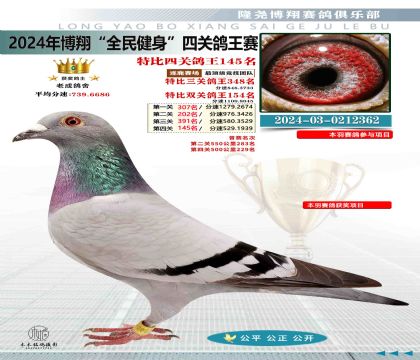 特比四關(guān)鴿王145名