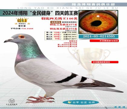 特比四關(guān)鴿王146名