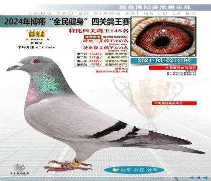 特比四關(guān)鴿王148名
