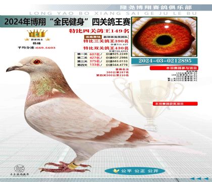特比四關(guān)鴿王149名