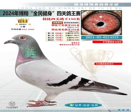 特比四關(guān)鴿王150名