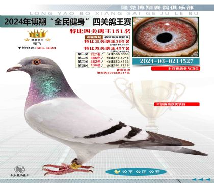 特比四關(guān)鴿王151名