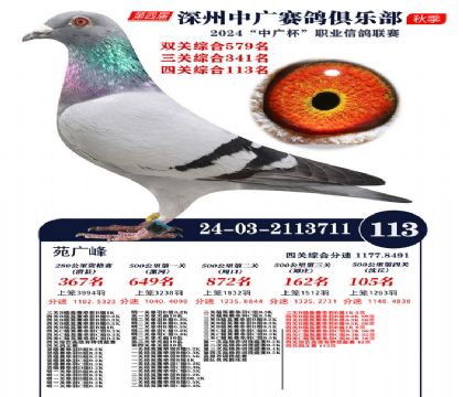 中廣杯113名