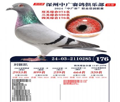 中廣杯176名