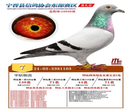 رP(gun)7