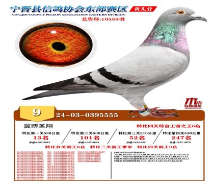 رP(gun)9