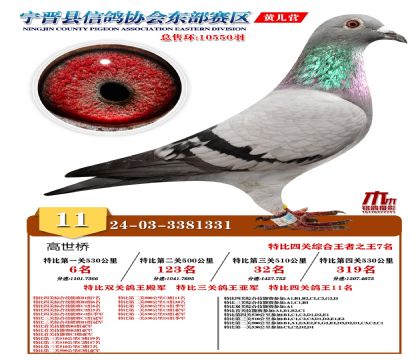 رP(gun)11