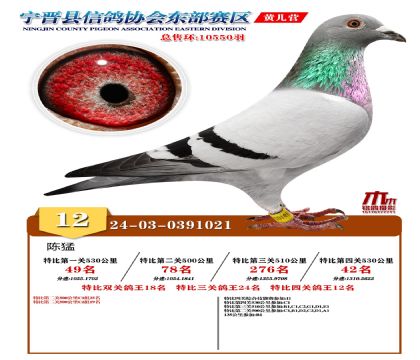رP(gun)12