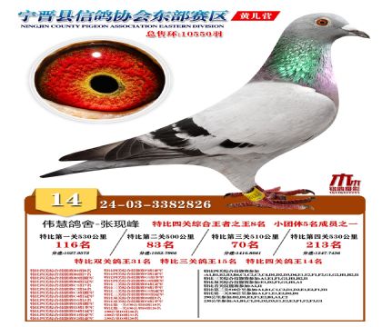 رP(gun)14