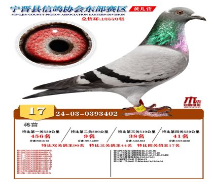 رP(gun)17