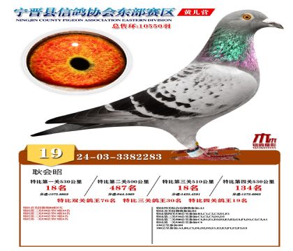 رP(gun)19
