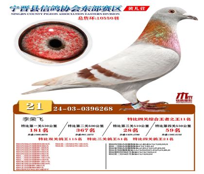 رP(gun)21