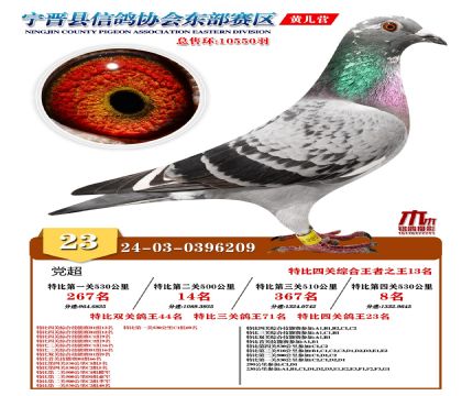 رP(gun)23