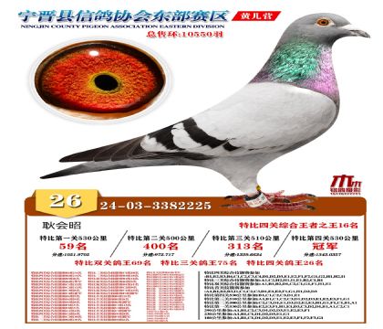 رP(gun)26