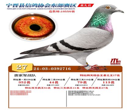رP(gun)27