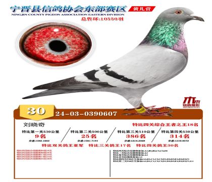 رP(gun)30