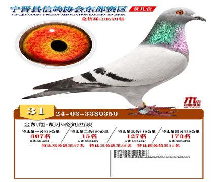رP(gun)31