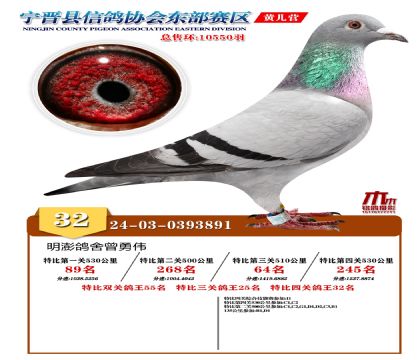 رP(gun)32