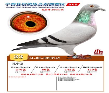 رP(gun)33
