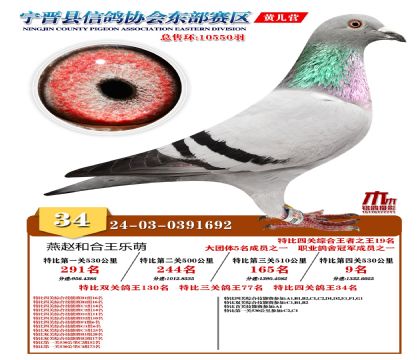رP(gun)34