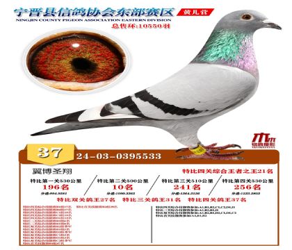 رP(gun)37