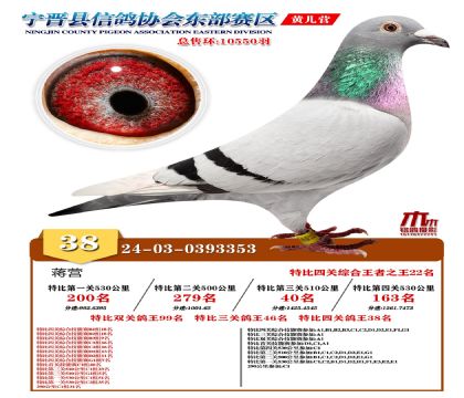 رP(gun)38