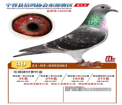رP(gun)39