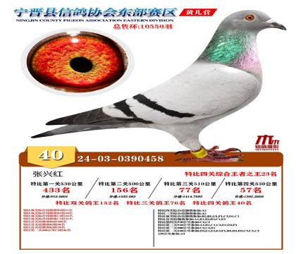 رP(gun)40
