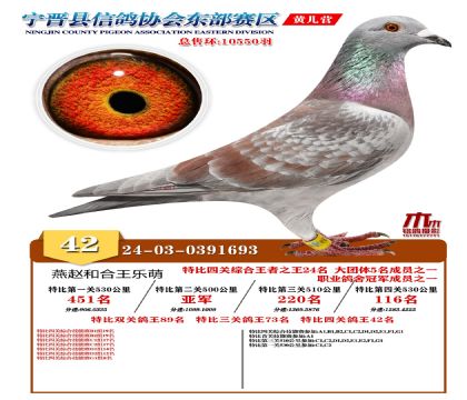 رP(gun)42