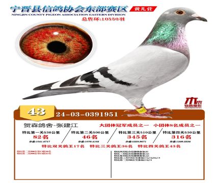 رP(gun)43