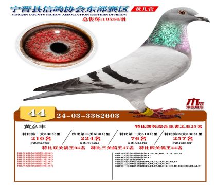 رP(gun)44