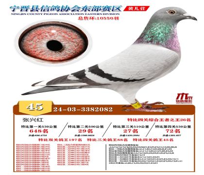 رP(gun)45